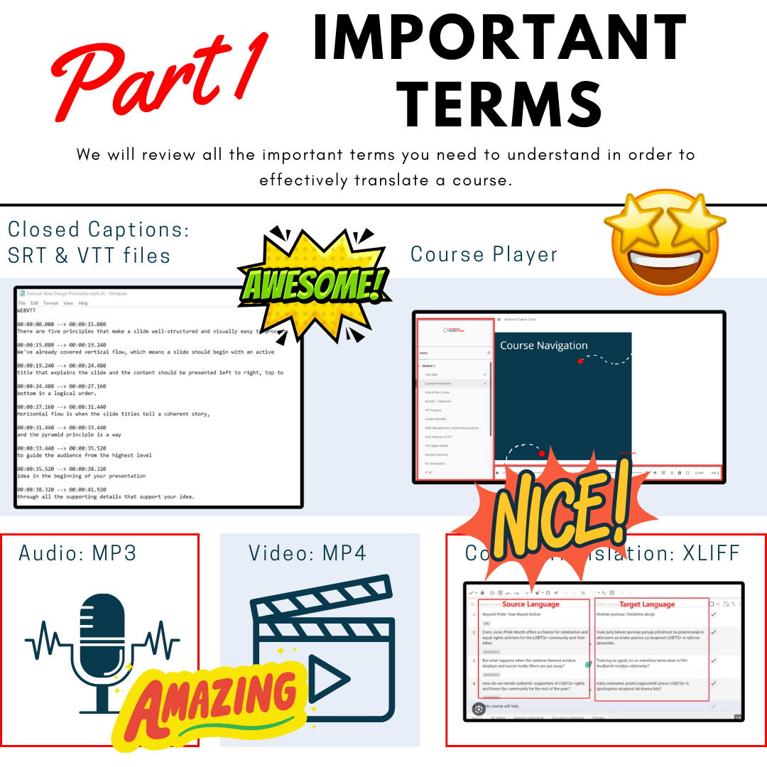 ELearning Resource: Learn to Translate Your Videos Audio Subtitle Articulate Storyline XLIFF Files | Online Translation | Instant Download