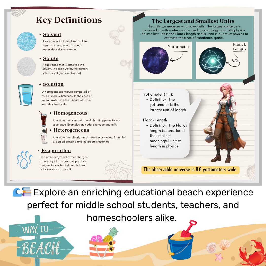STEAM Seekers Math Science Beach Vacation Lesson Plans | Homeschool Beach Lessons | Instant Download