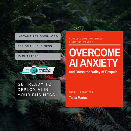 EBOOK: AI Anxiety and How to Cross the Valley of Despair A practical guide for small business owners and professionals