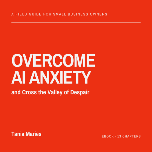 Digital Download: Overcome AI Anxiety and Cross the Valley of Despair A practical guide for small business owners and professionals