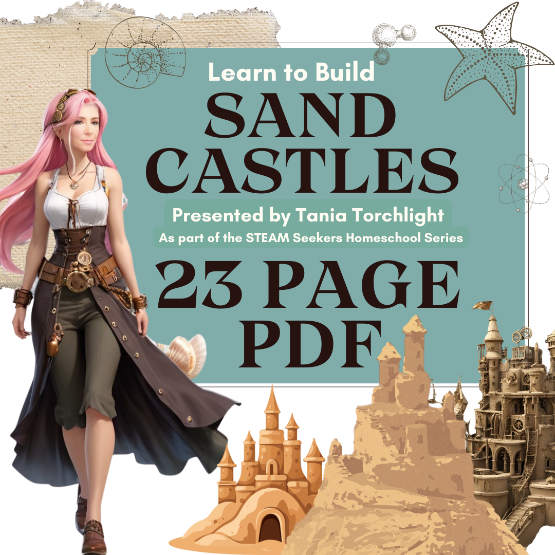 STEAM Seekers Math and Science Series | How to Build a Sand Castle Book | Sand Castle Tools | Beach Vacation Activities  Instant Download