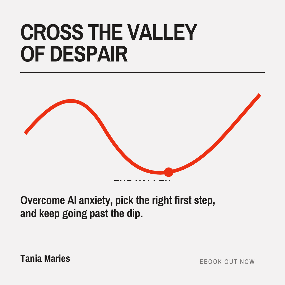 Digital Download: Overcome AI Anxiety and Cross the Valley of Despair A practical guide for small business owners and professionals